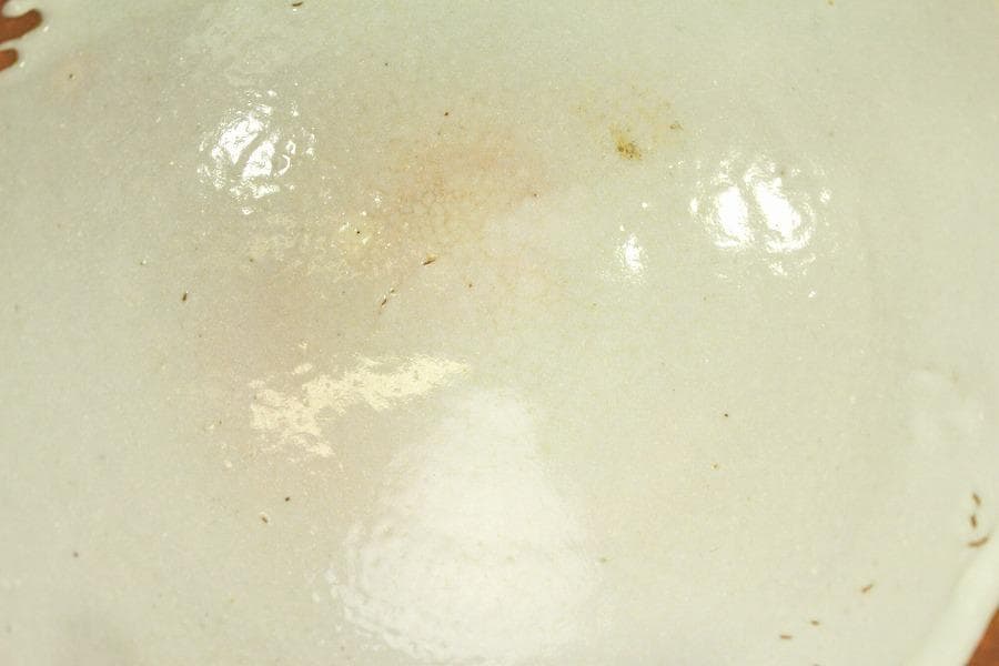 茶道具 朝日 茶碗 銘 春の雪 花押(A424)