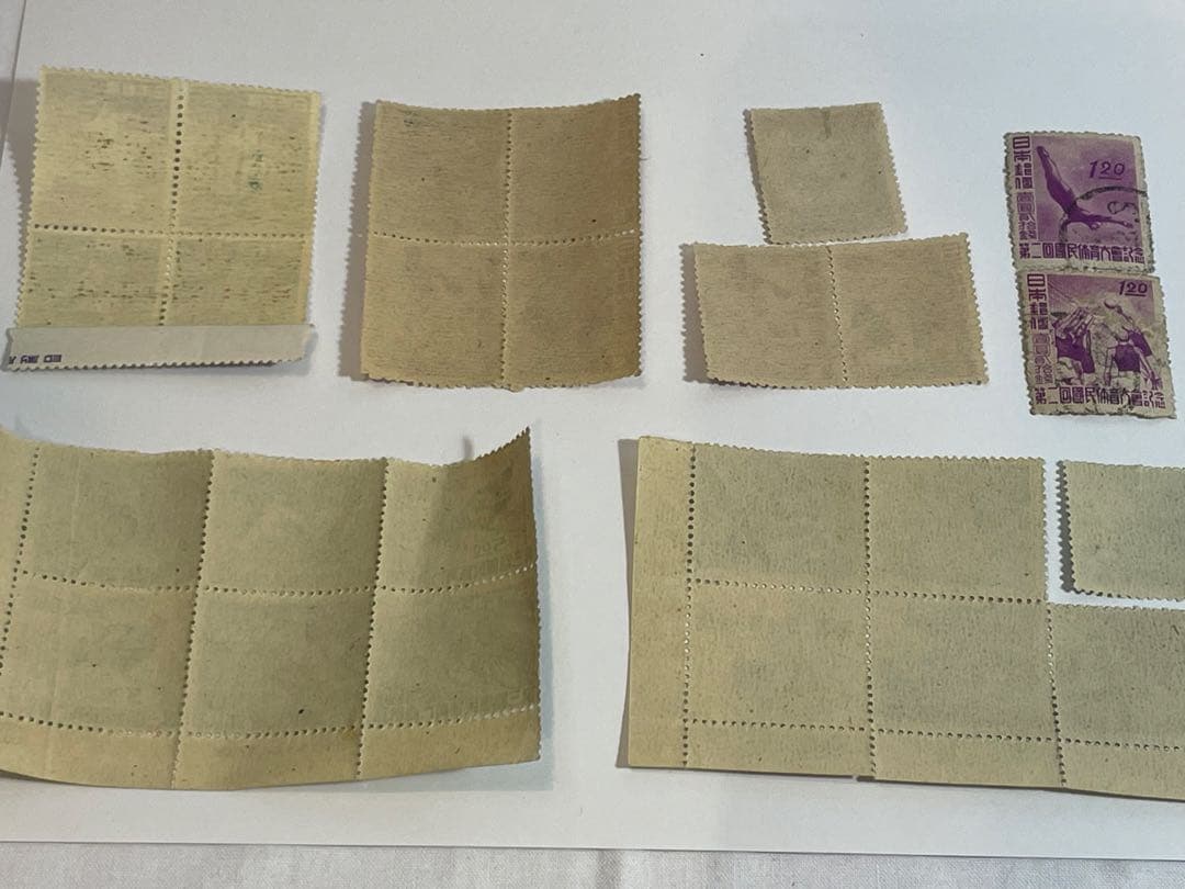 銀座パリス西野店切手⭐︎見返り美ら