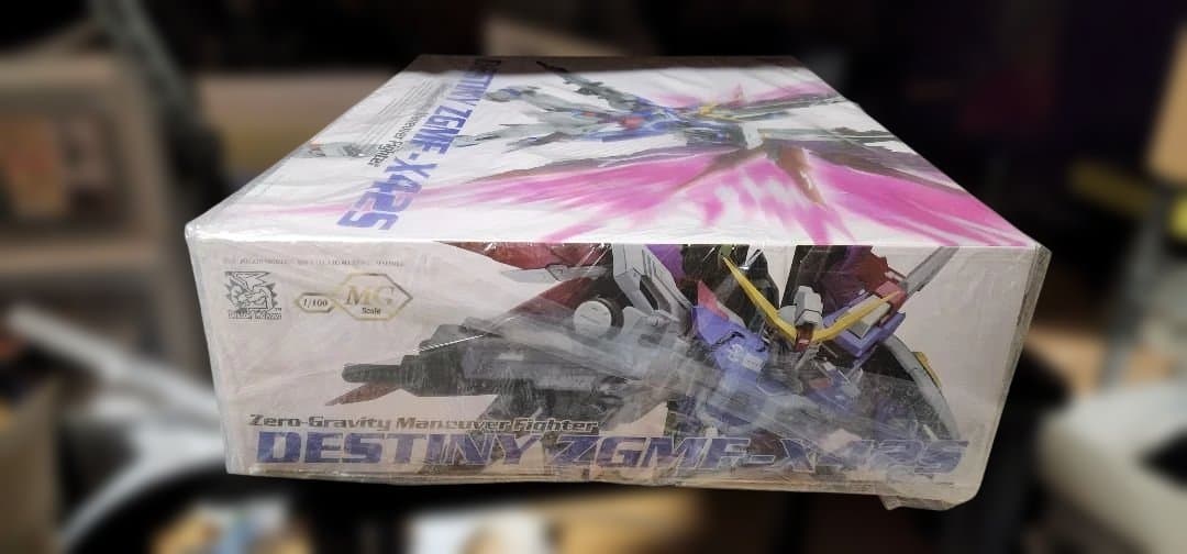 ゼ*ス様 海外(DM社)製 DESTINY ZGMF-X42S　1/100