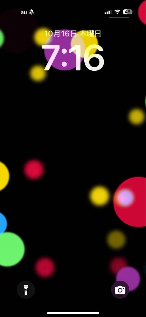 【ジャンク品】iPhone 16 Pro 256Ｇ