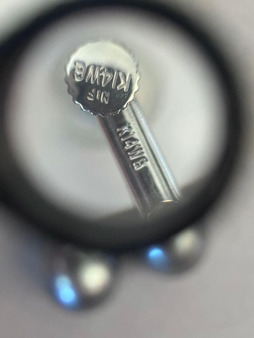 専用！真珠科学研究所オーロラオーシャンブルー黒蝶真珠ダイヤモンドイヤリングWG