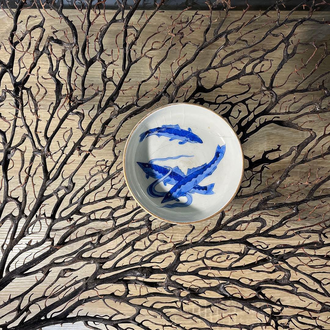 骨董　古伊万里　九谷　古染付　希少　鮎　遊魚　図案　豆皿　※難あり、参考品用
