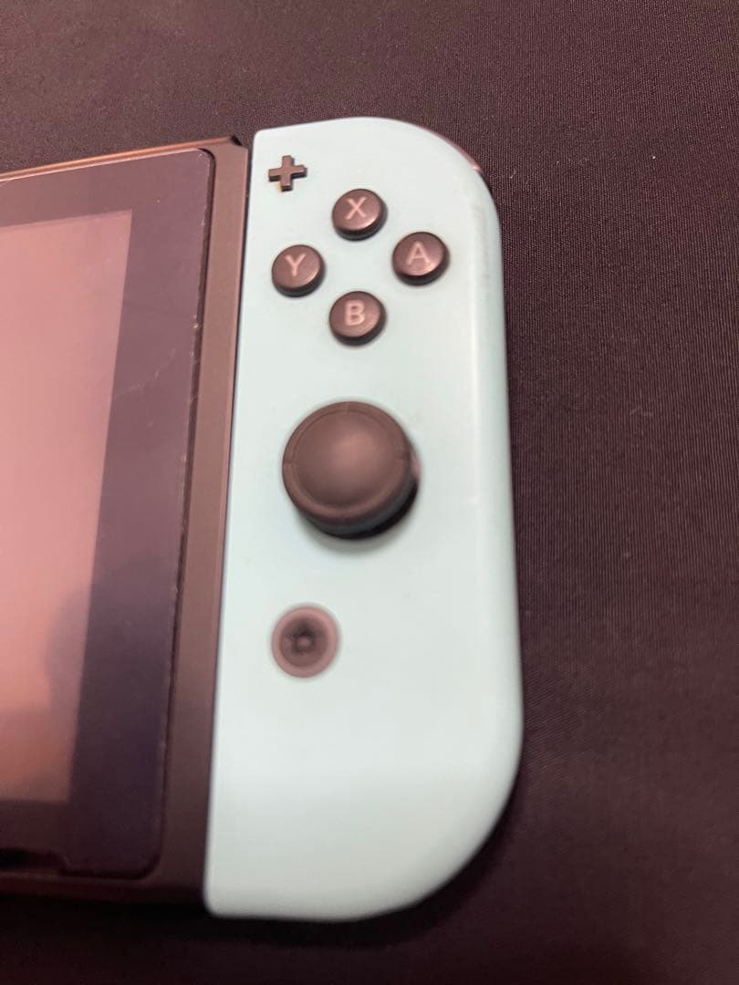 き*送様 Nintendo Switch あつまれ どうぶつの森エディション