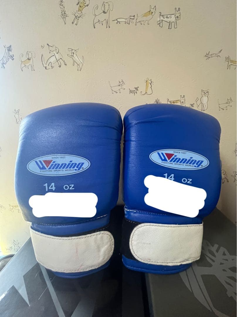 Winning ボクシンググローブ 14oz 青　ソフトタイプ
