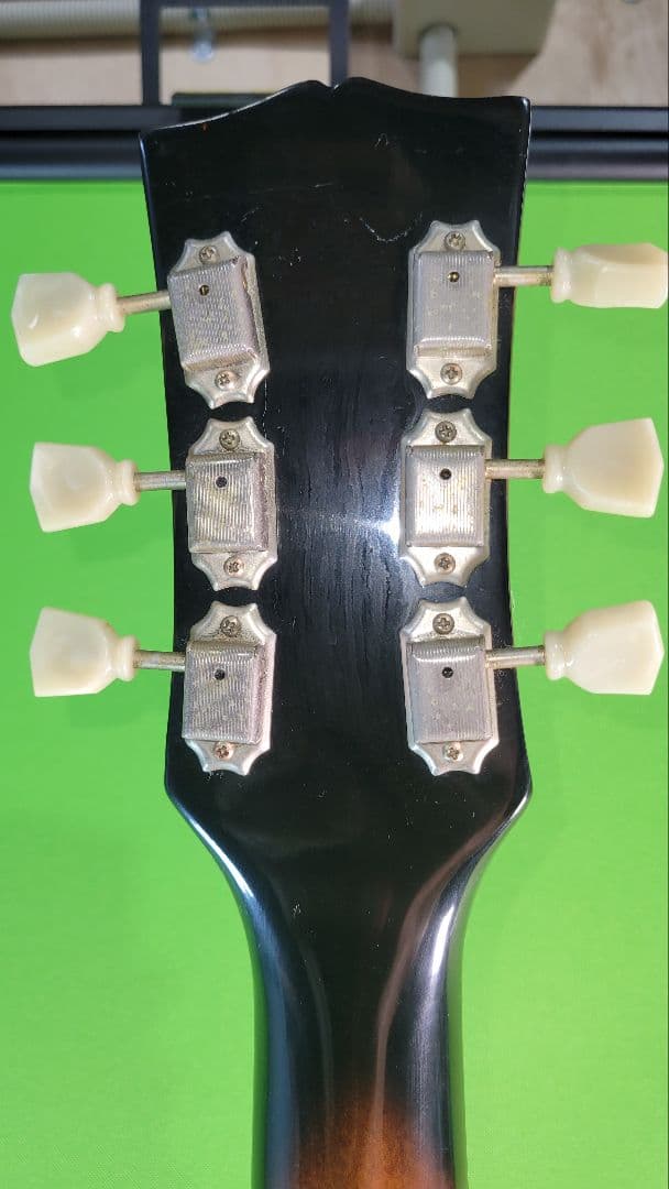 The Samick エレキギター フルホロウボディ