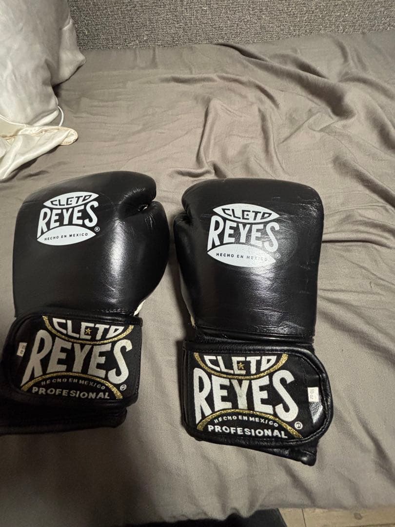 レイジェス ボクシンググローブ 10oz RAYES