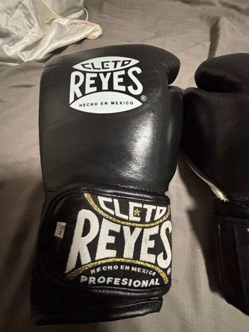 レイジェス ボクシンググローブ 10oz RAYES