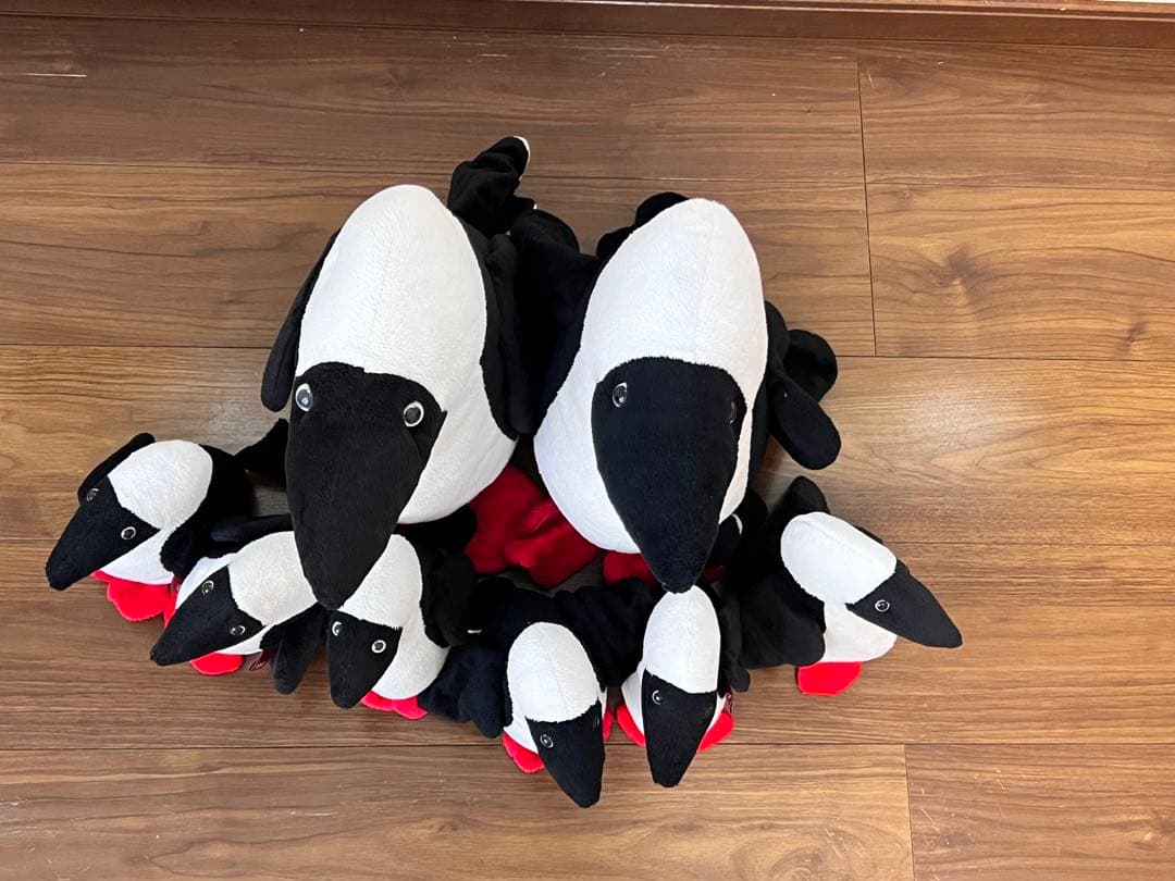 CHUMS チャムス　ブービーバード　ぬいぐるみ　8羽セット売り　かつおどり