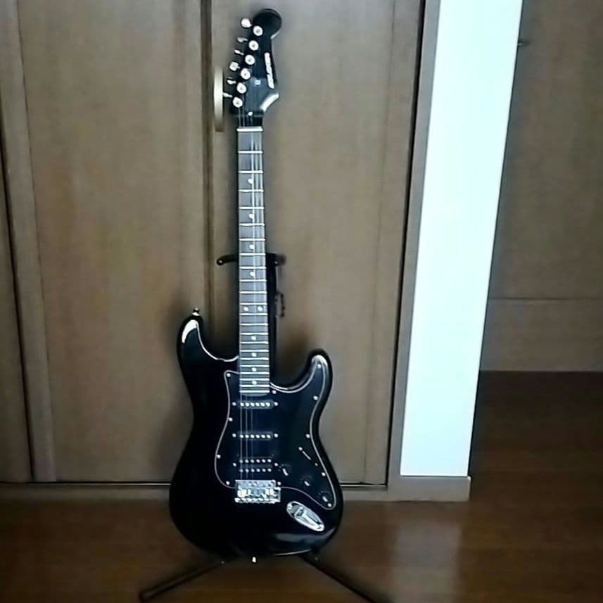 SELDER　エレキギター　ストラトタイプ　SSH