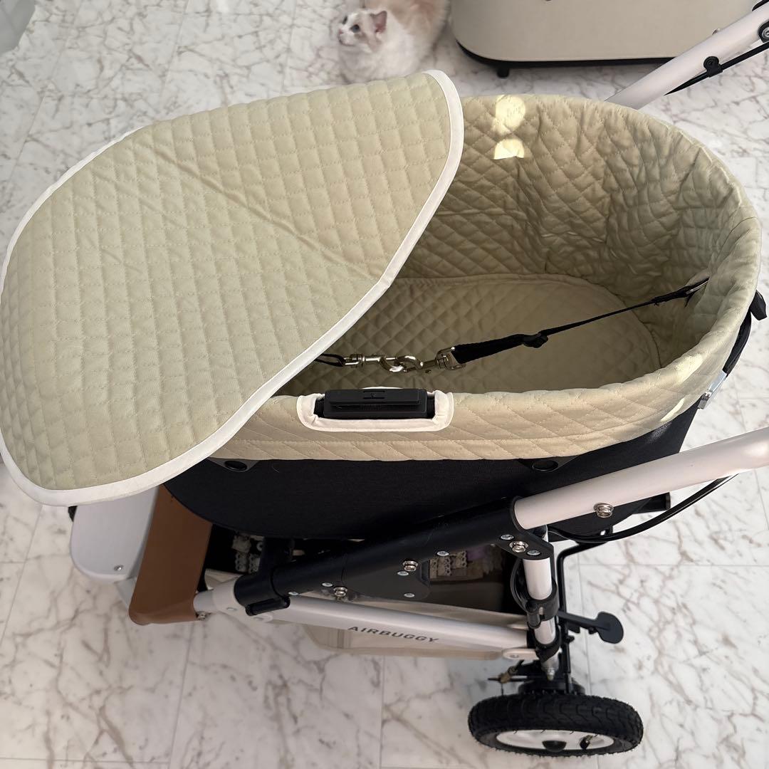 ハンドメイド製作　エアバギードーム3 (レギュラーサイズ)ピスタチオ色