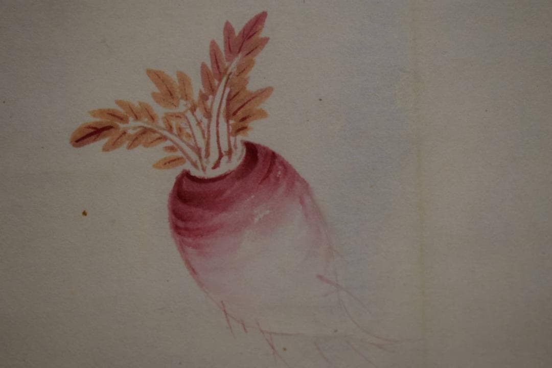 真作/柳味/大根画賛/風味入丹青/布袋屋掛軸HJ-673