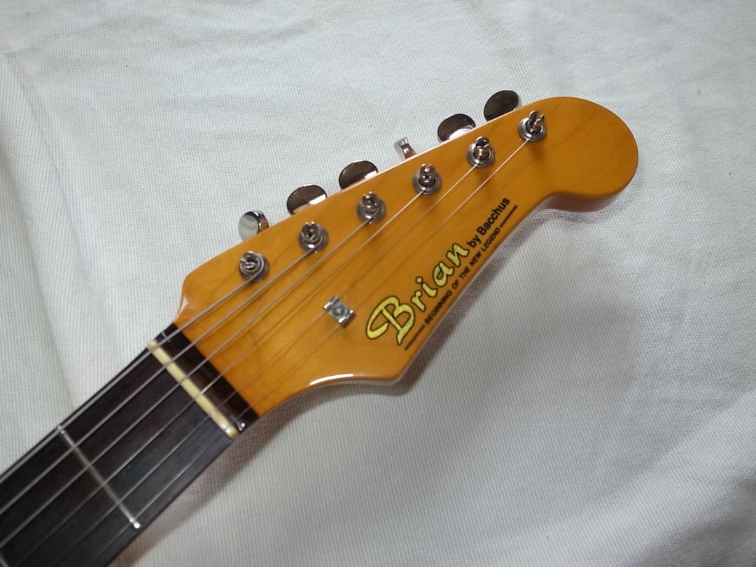 レアBrian　by　bacchus　ブライアン　テレキャスターカスタムタイプ