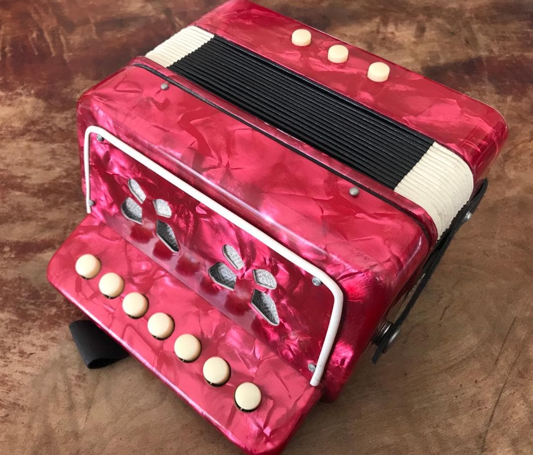 アコーディオン 楽器 ヴィンテージ アンティーク