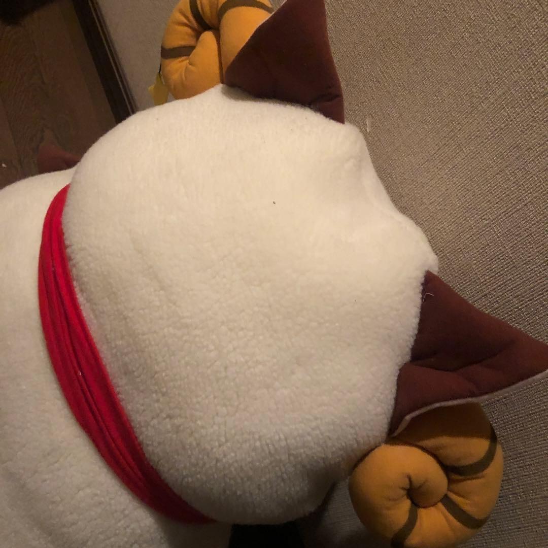 正宗ぬいぐるみ 天月 【断捨離】