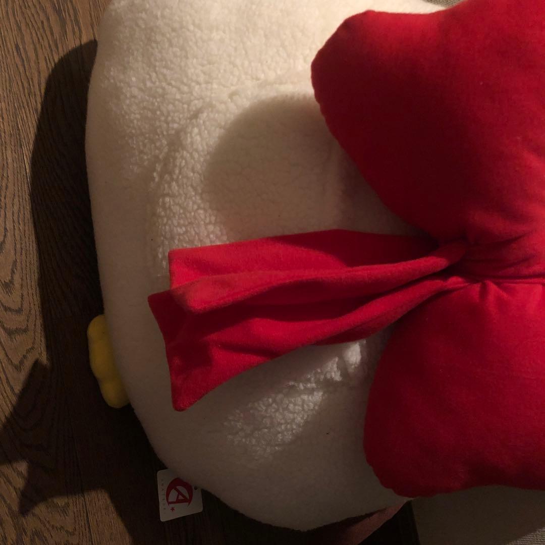 正宗ぬいぐるみ 天月 【断捨離】