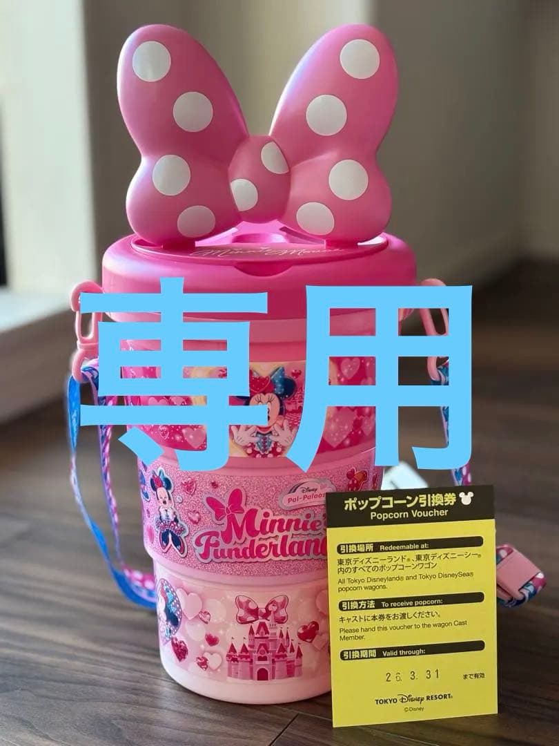 BANI　ディズニー　パルパルーザ　ミニーファンダーランド　セット