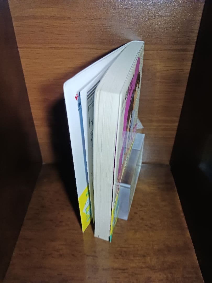 謎の彼女X 謎の小説版