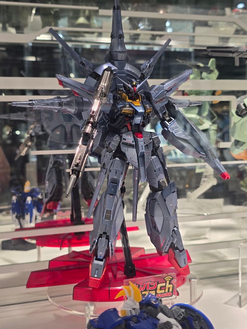 た*す様 ＭＧ 1/100 プロヴィデンスガンダム [スペシャルコーティング]