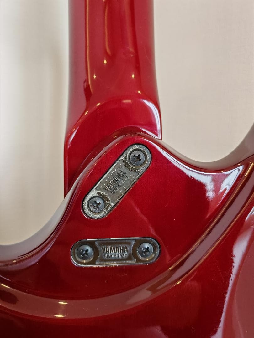 1988 Yamaha RGZ-1 希少品 ヤマハ