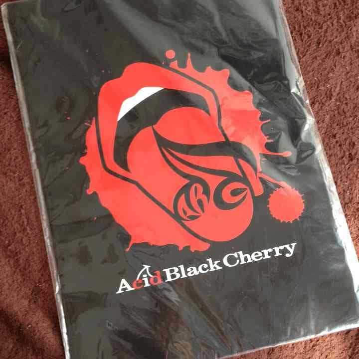 Acid black cherry♡パンフ