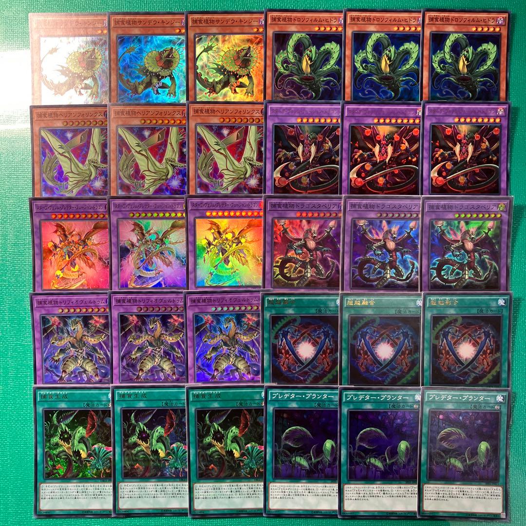 遊戯王 プレデタープランツセット④