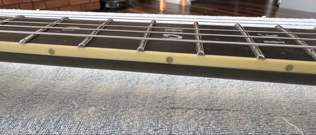 SCHECTER シェクター エレキギター C-1 SLS Evil Twin