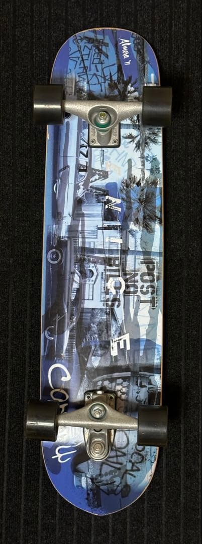 スケートボード carver カーバー