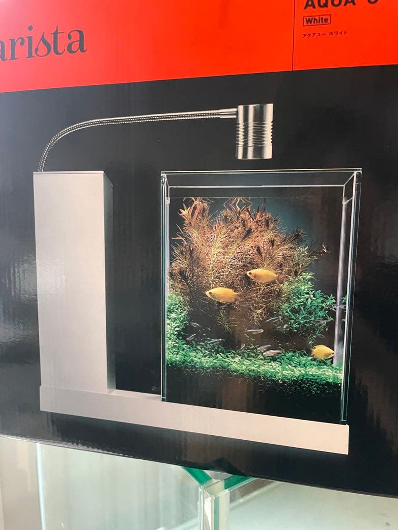 aquarista AQUA-U ホワイト ガラス水槽