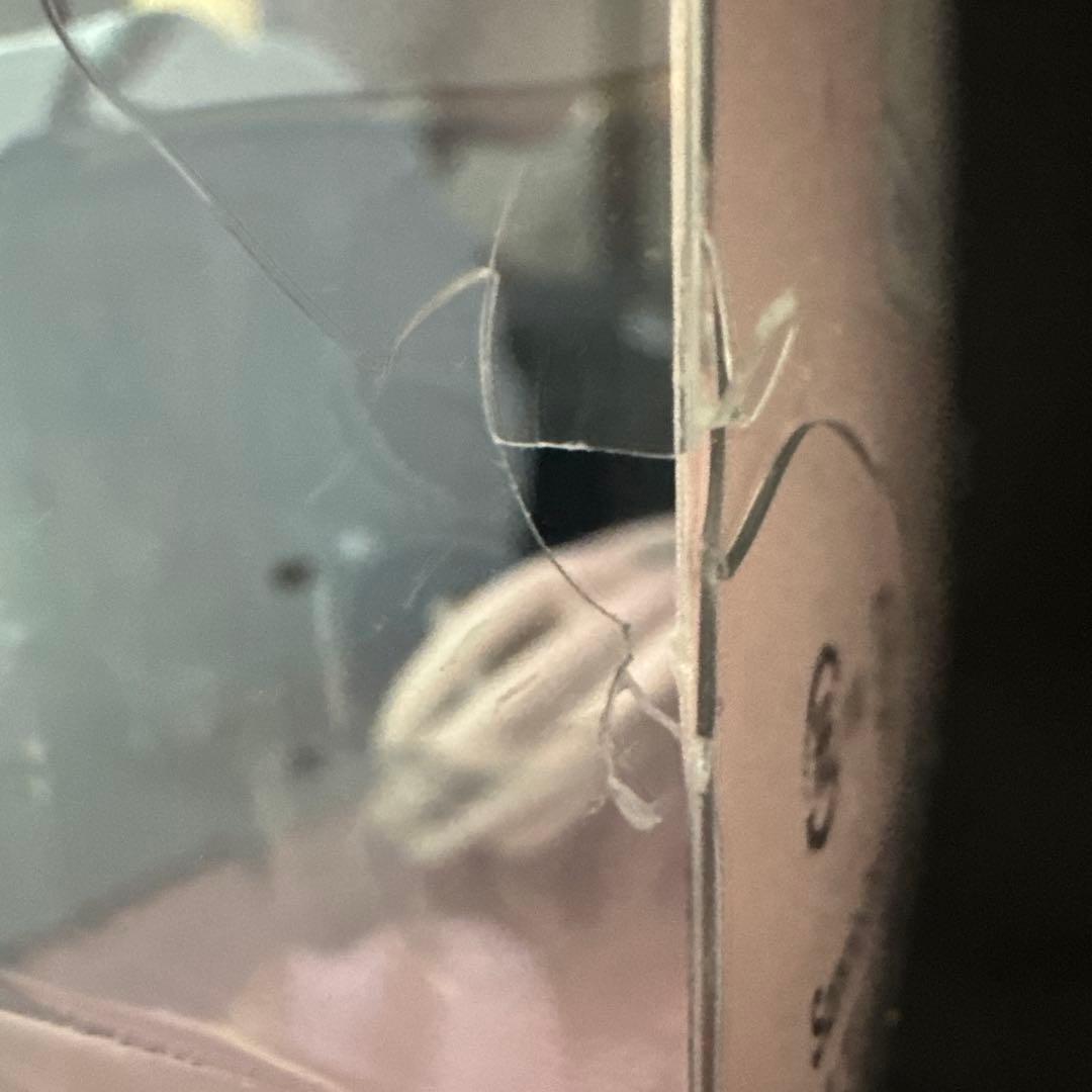 リトルツインスターズ キキ＆ララ ルームライト 卓上スタンド