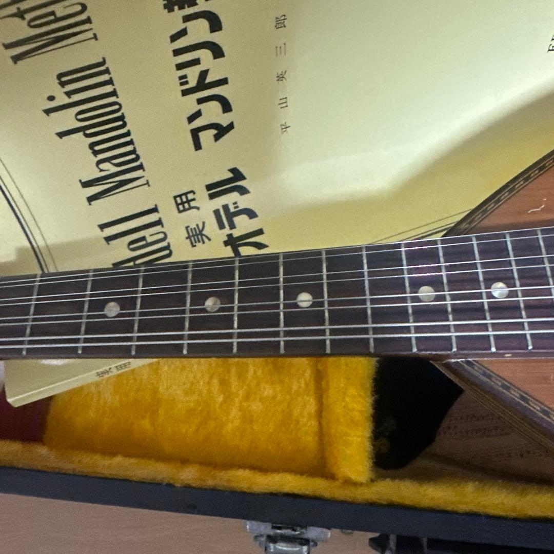 【ハードケース付き】スズキ SUZUKI マンドリM-215