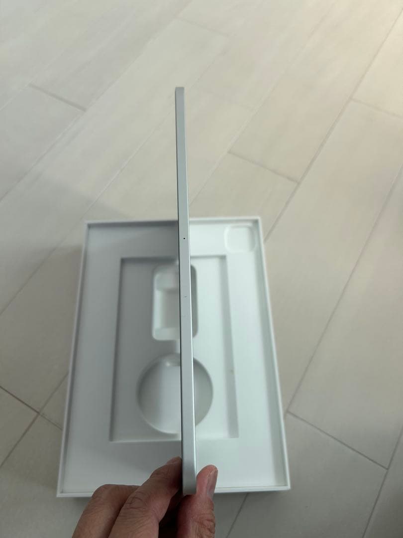 Apple iPad pro 11インチ シルバー 本体　256GB