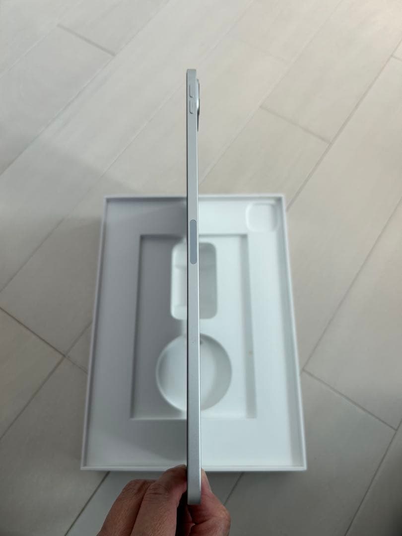 Apple iPad pro 11インチ シルバー 本体　256GB