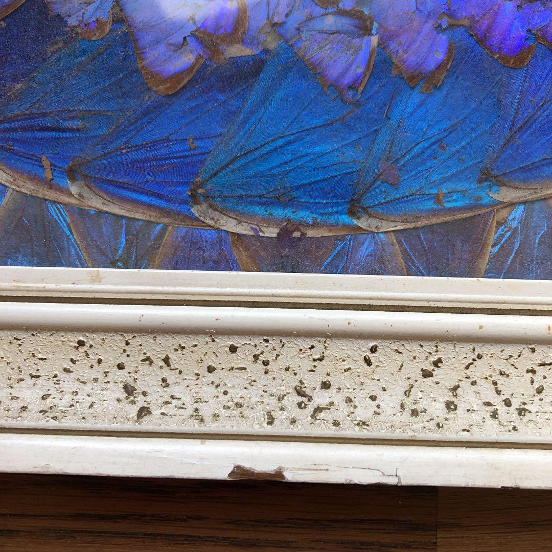 レトロ　ブラジル　青いちょうちょ　額縁　レア