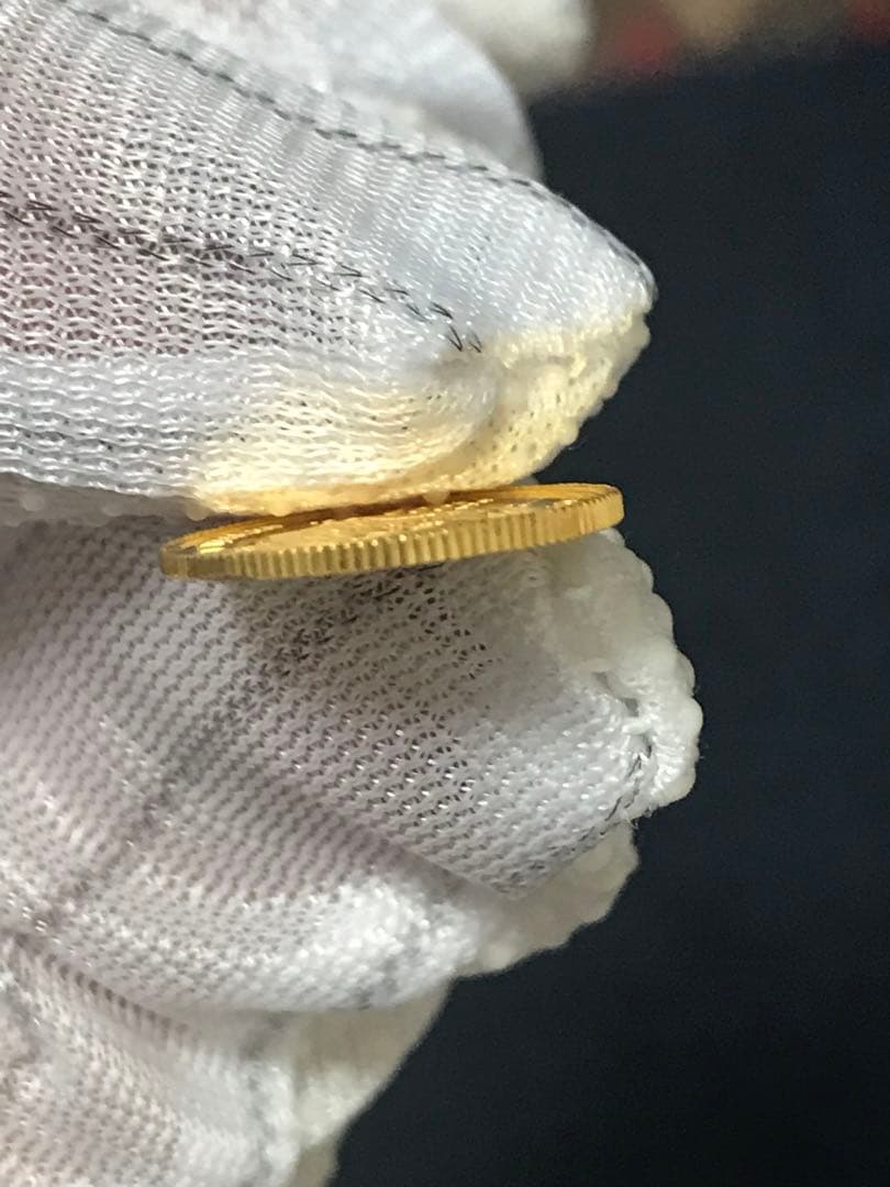 ベトナムドン　ベトナム 「巳年」5000ドン金貨　1/25オンス 純金