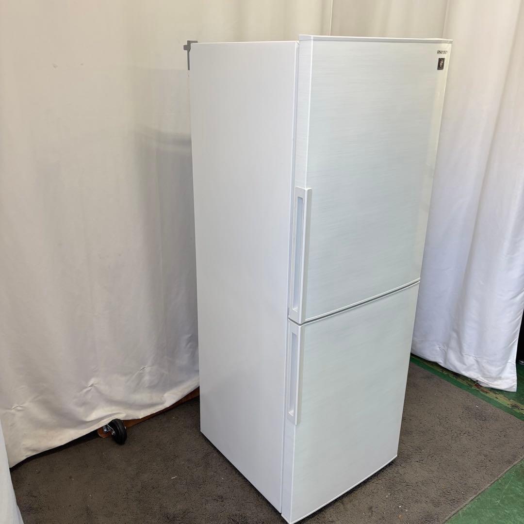 13　冷蔵庫　シャープ　一人暮らし　大きめ　200-300ℓ　綺麗　設置無料