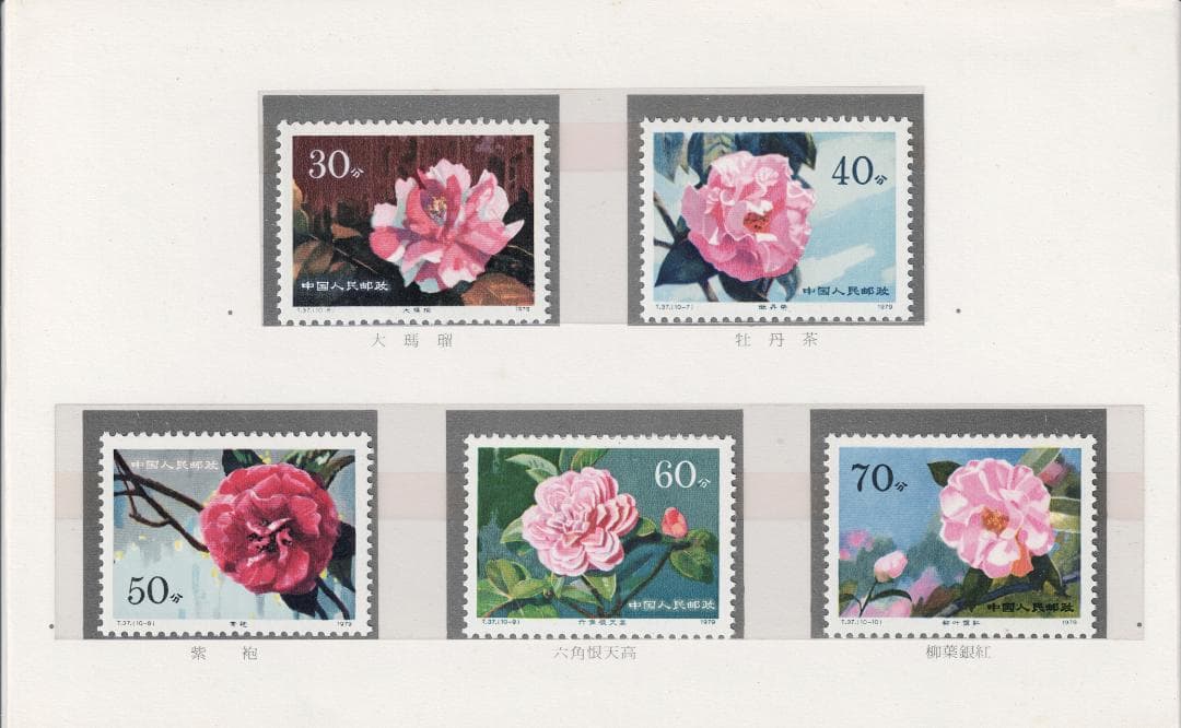 【中国切手】T37+T37m 雲南のツバキ10種セット＋小型シート（未使用NH）