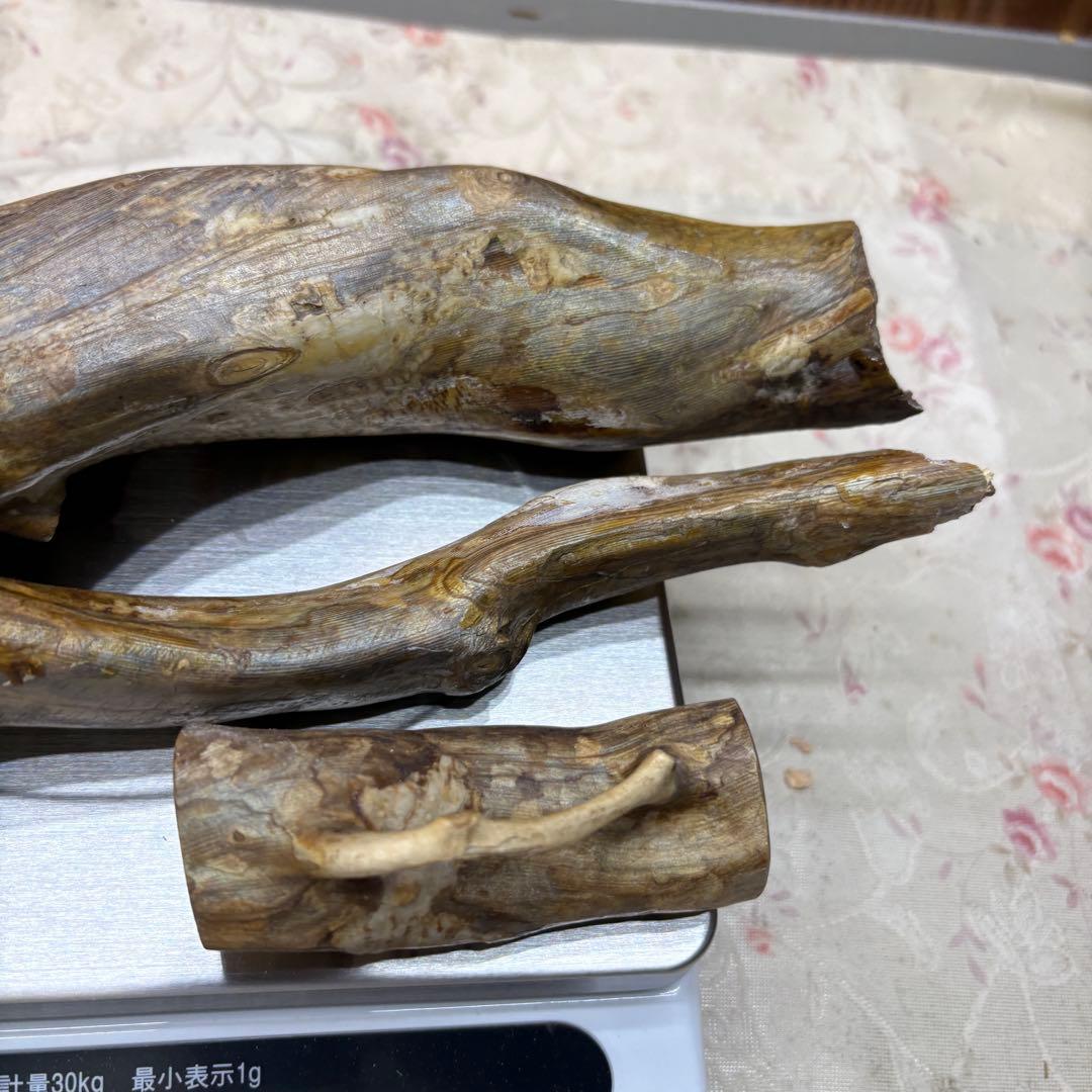 海松　深海松　レインボーコーラル　置物　素材　原木