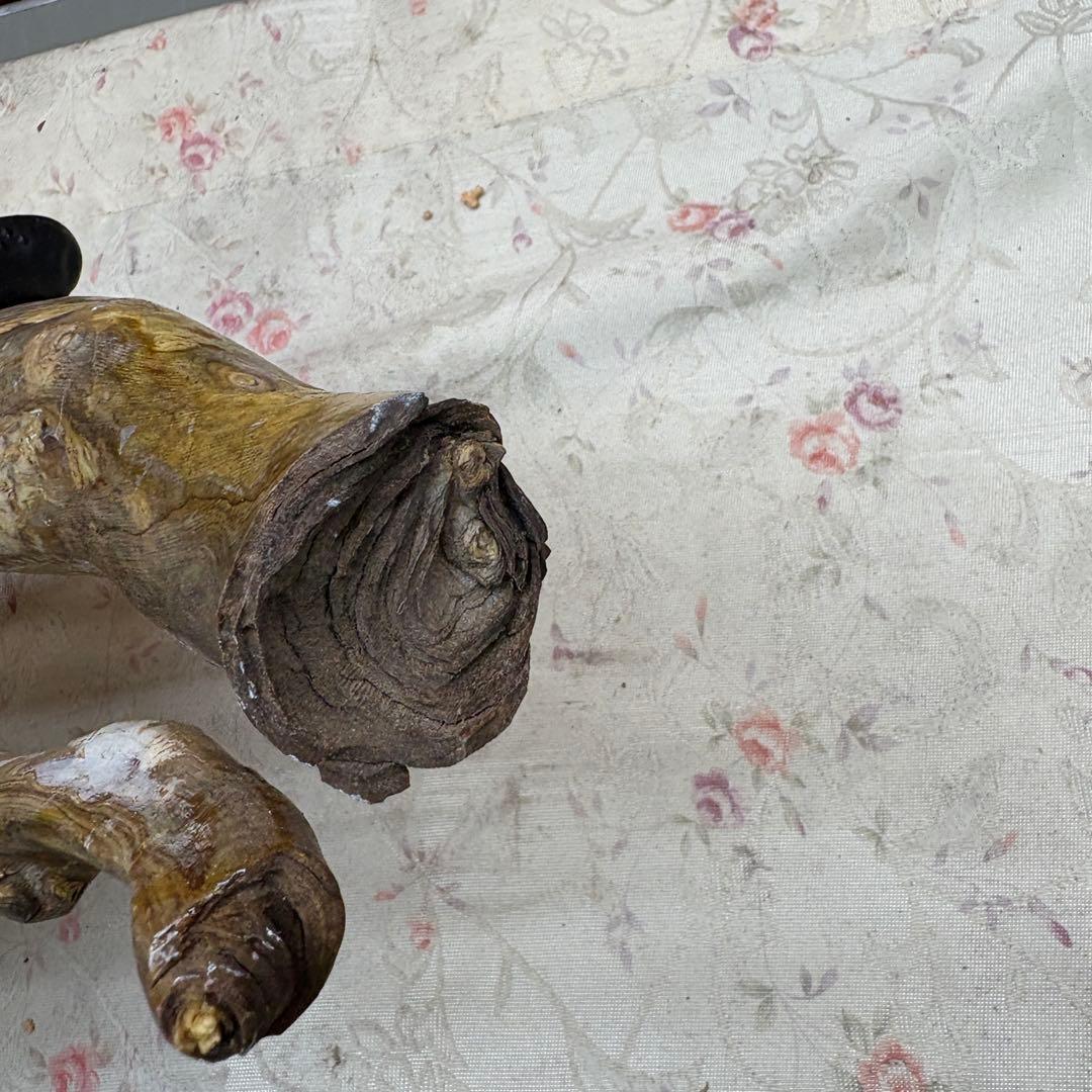 海松　深海松　レインボーコーラル　置物　素材　原木