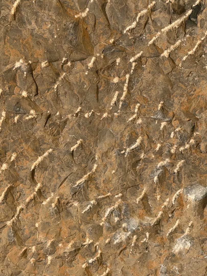 中国　石佛　三尊佛　台付　仏教美術　高さ約51cm 送料込み251211