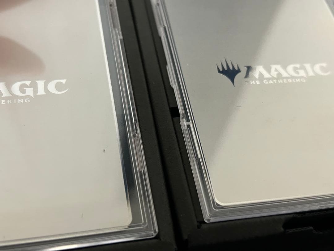 MTG ステンレス アート2枚 血に飢えた征服 倍増の季節