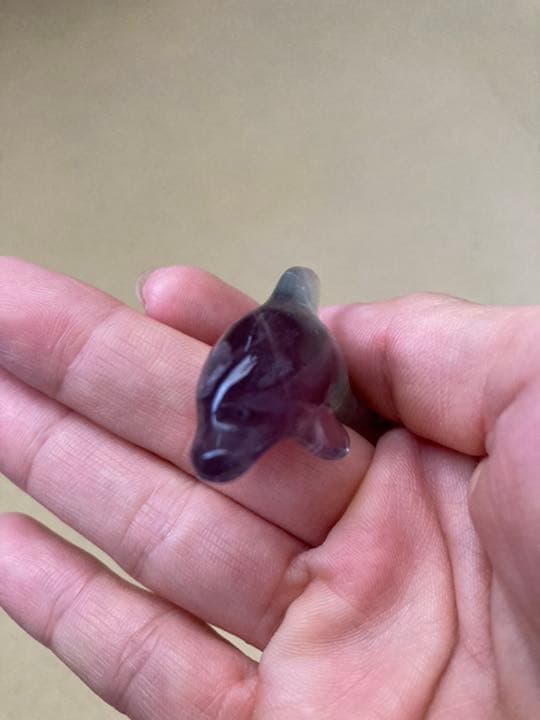 フローライト イルカ☆