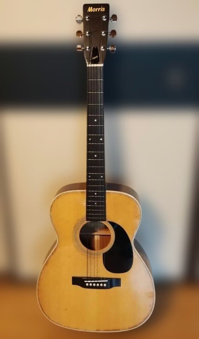 Morris アコースティックギター F-18