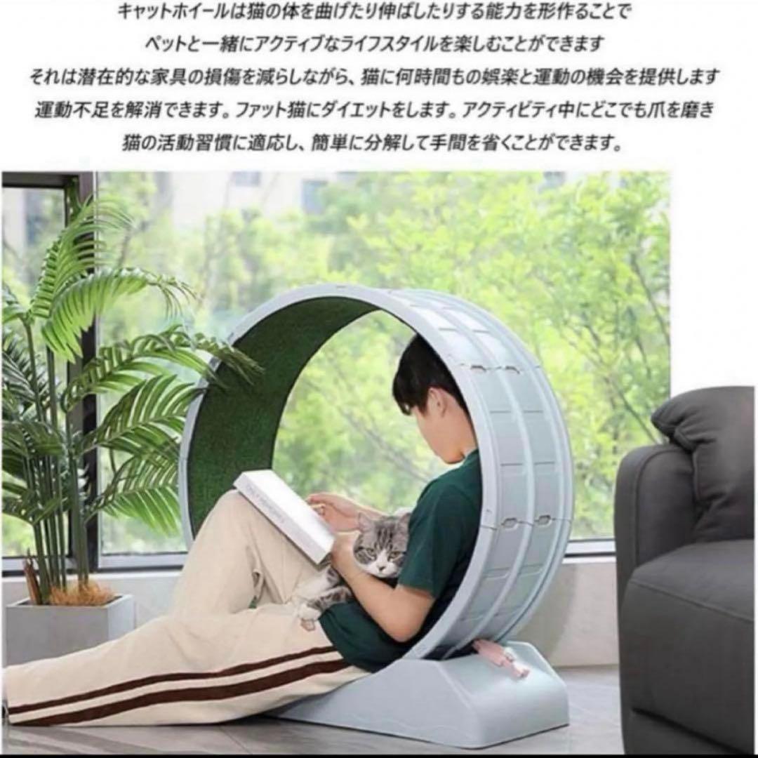 キャットローラー 運動不足 キャットホイール 猫 ペット ダイエットグレー 犬
