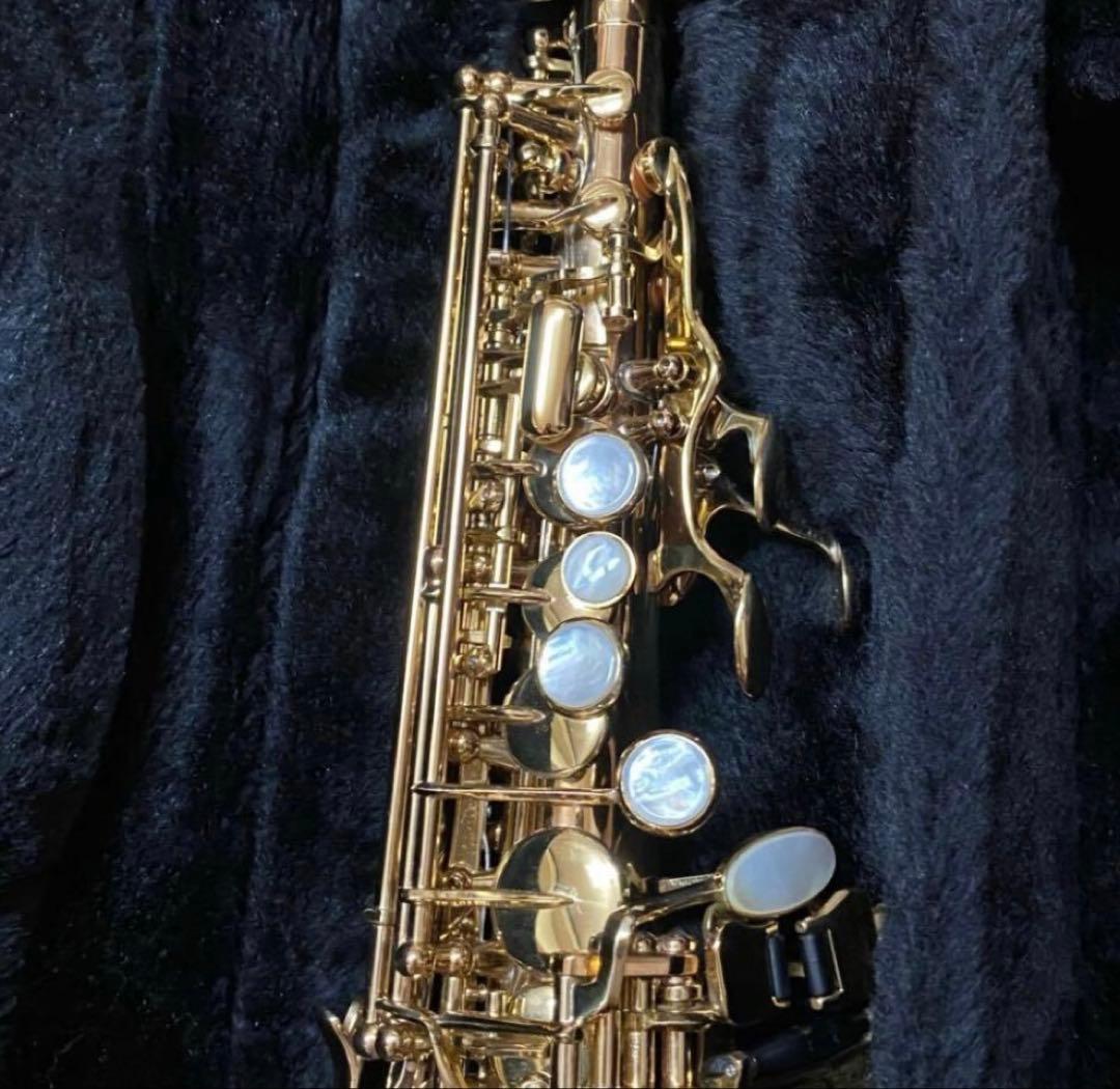 【じいいいい】豪華彫刻入り カドソン Cadeson ソプラノサックス