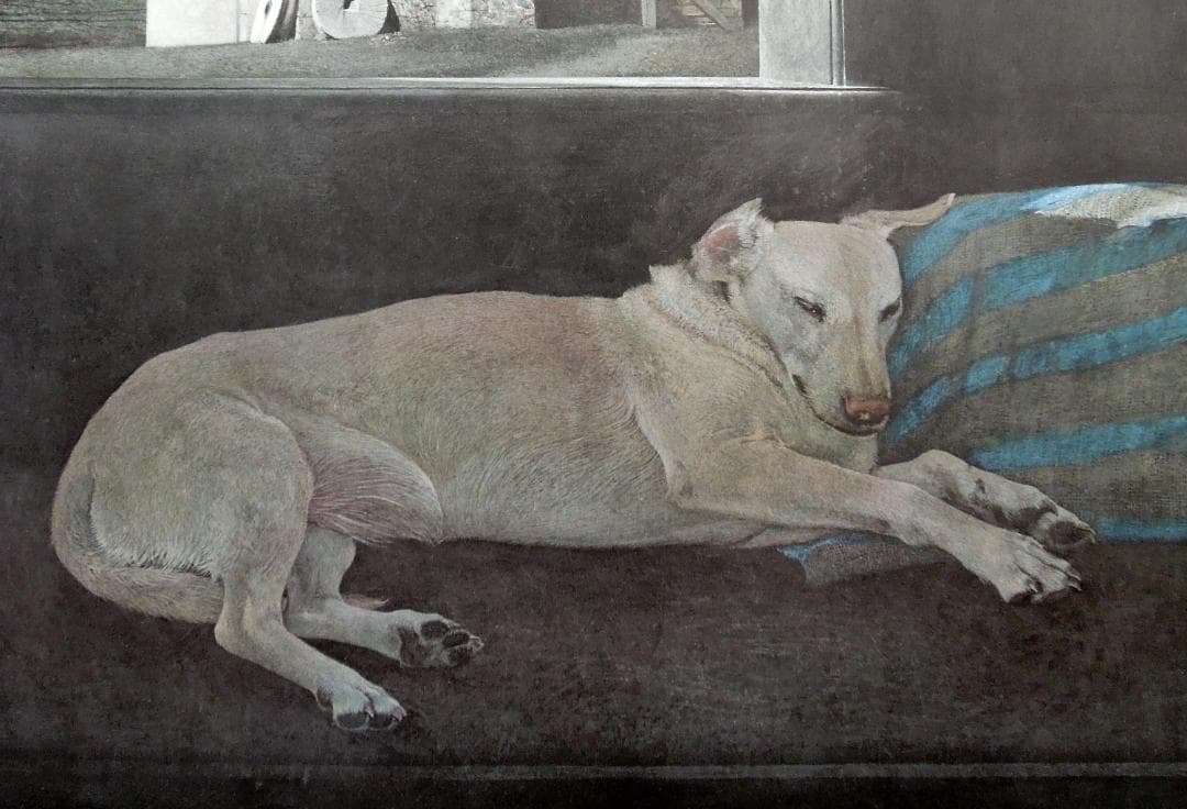 レア　210万円　真作　アンドリュー・ワイエス　直筆サイン　アメリカ　写実主義