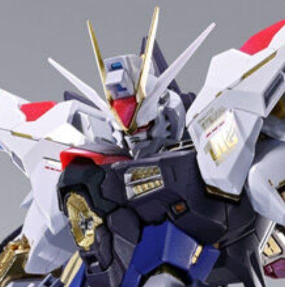 59,800ストライクフリーダ厶L BUILD FESTIVAL2024