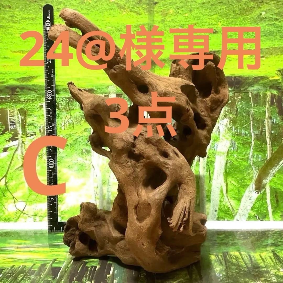 24@3点おまとめ　天然水槽用流木　沈水確認済み