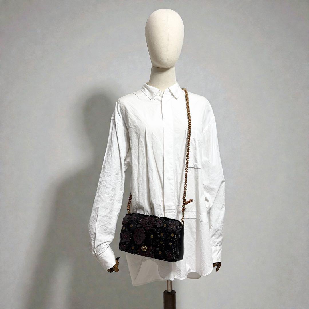 コーチ COACH ショルダーバッグ ディンキー ウィズ ティー ローズ