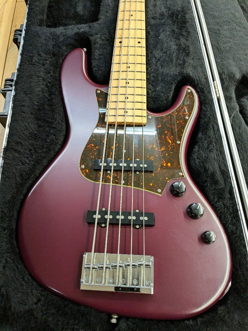 ベース FREEDOM CUSTOM GUITAR RESEARCH Anthra5st