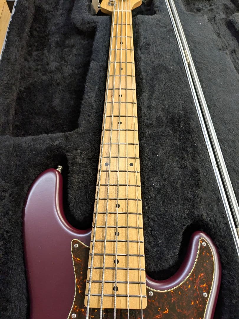 ベース FREEDOM CUSTOM GUITAR RESEARCH Anthra5st